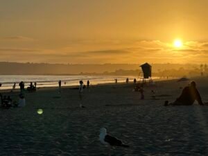 RidePal San Diego
